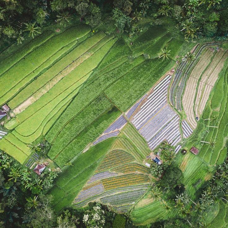 Outdoor terrace seating suitable for families in New York